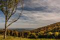 2014_10_19 (0008)